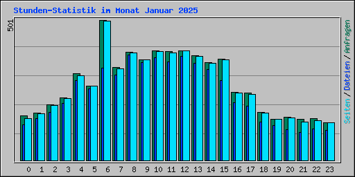 Stunden-Statistik im Monat Januar 2025