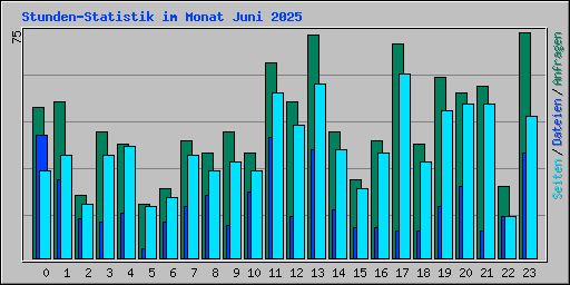 Stunden-Statistik im Monat Juni 2025